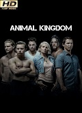 Animal Kingdom Temporada 2 [720p]